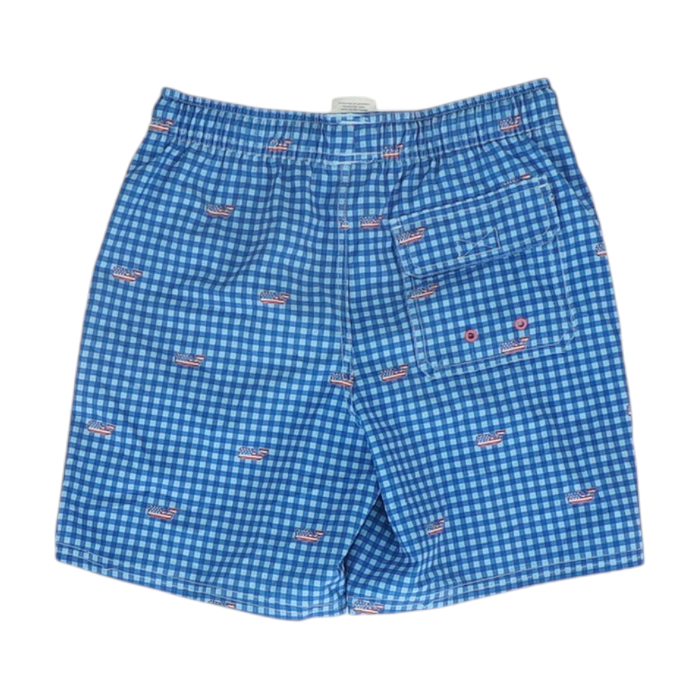 Blue Check Swim Bottom