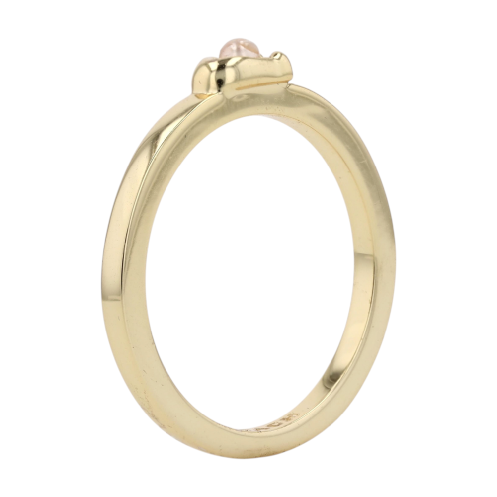 Costume Band Ring