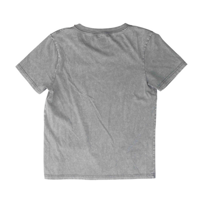 Gray Missouri T-Shirt