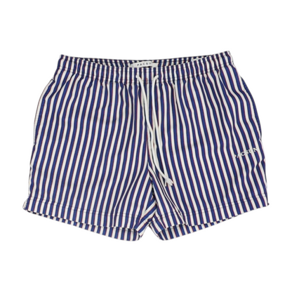 Blue Striped Swim Bottom