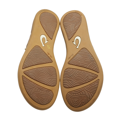 Brown Flip-Flop Sandals