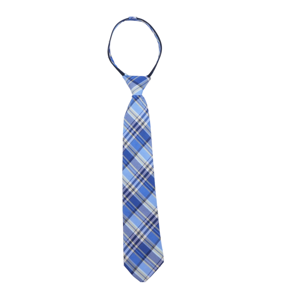 Blue Plaid Neck Tie