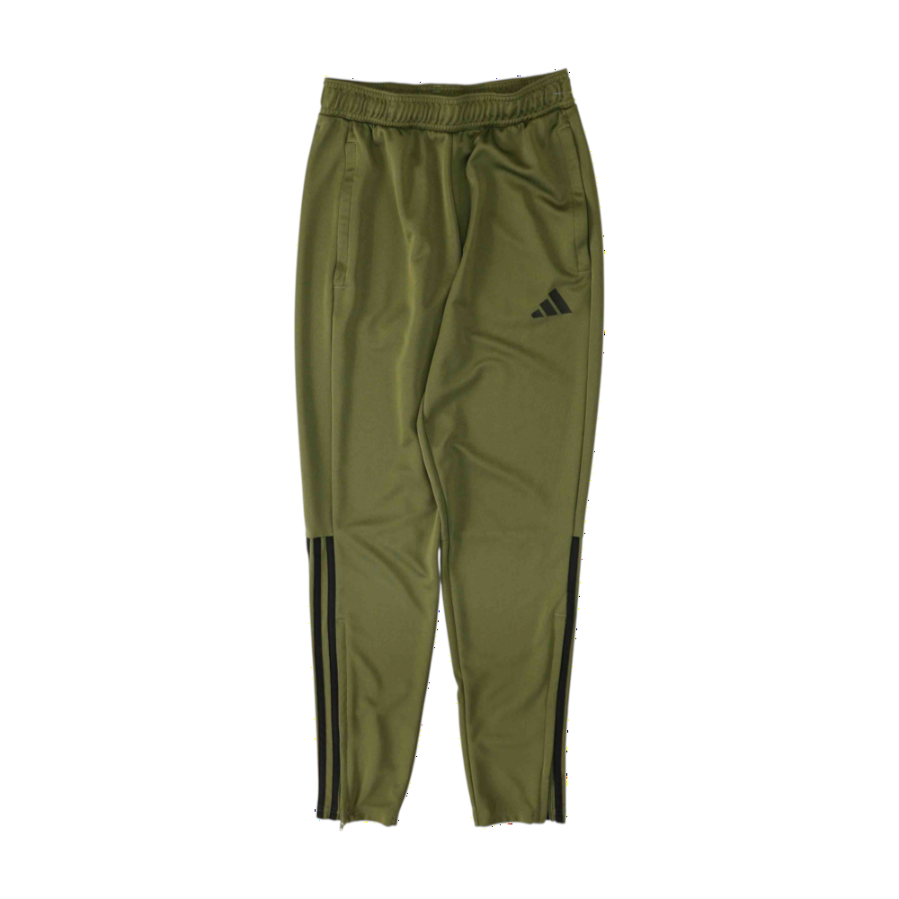 Green Tapered Pants