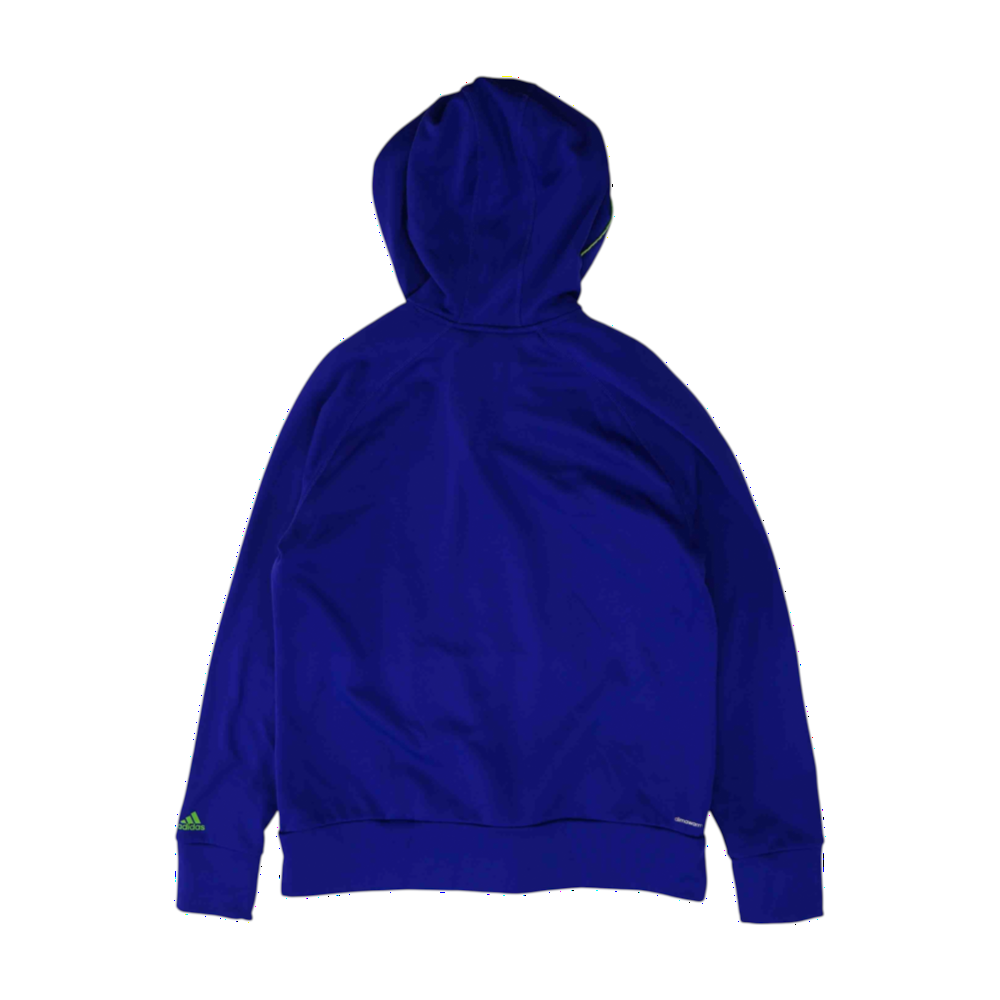 Purple Solid Hoodie Pullover