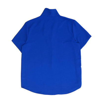 Blue Blouse