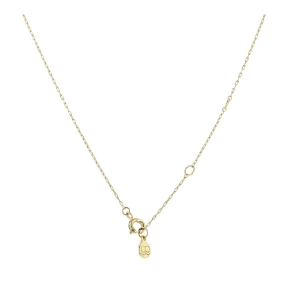 Costume Chain Necklace
