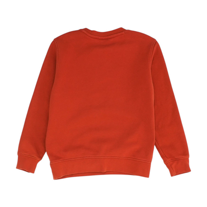 Rust Sweatshirt Pullover