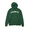 Green Dartmouth Big Green Solid Hoodie Pullover