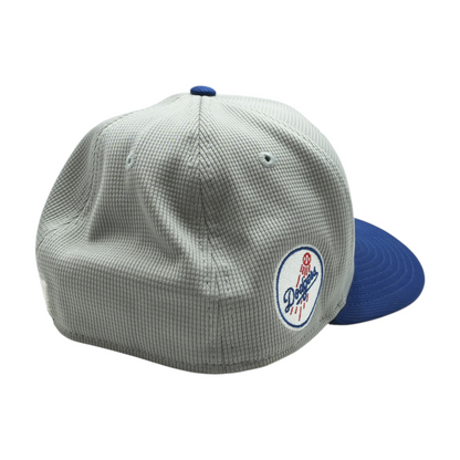 Gray Los Angeles Dodgers Ballcap