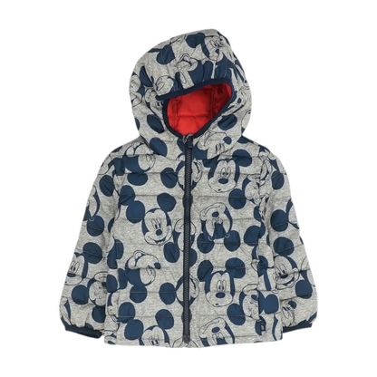 Gray Graphic Jacket