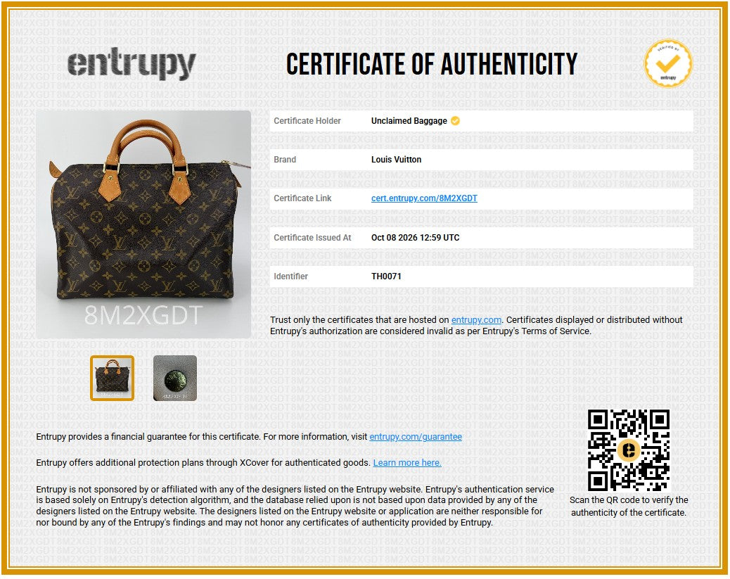 Brown Speedy 30 Handbag