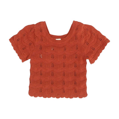 Rust Chevron Crewneck Knit Top