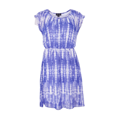 Vintage Blue Print Mini Dress