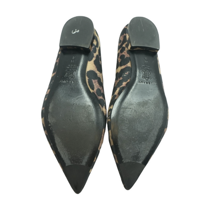 Black Flats