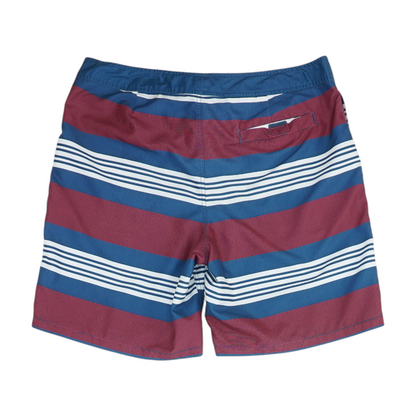 Multi Striped Swim Bottom