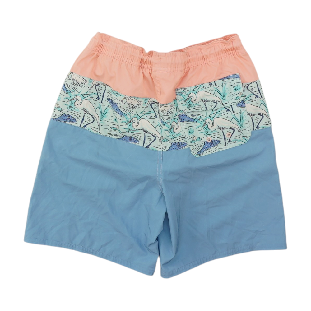 Blue Color Block Swim Bottom
