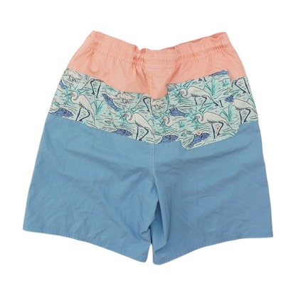 Blue Color Block Swim Bottom