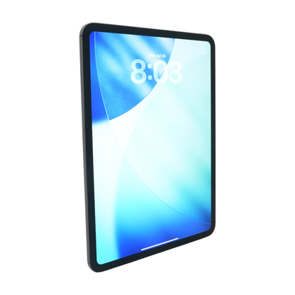 iPad Pro 11.0" Space Black 6th Gen 1TB Cellular Tablet