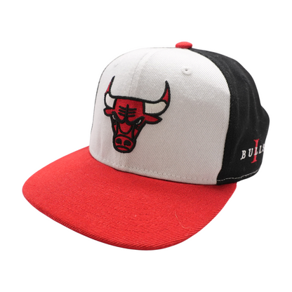 Multi Chicago Bulls Ballcap Hat