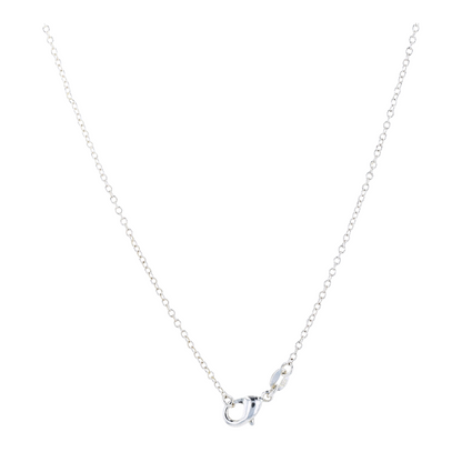 Costume Pendant Necklace