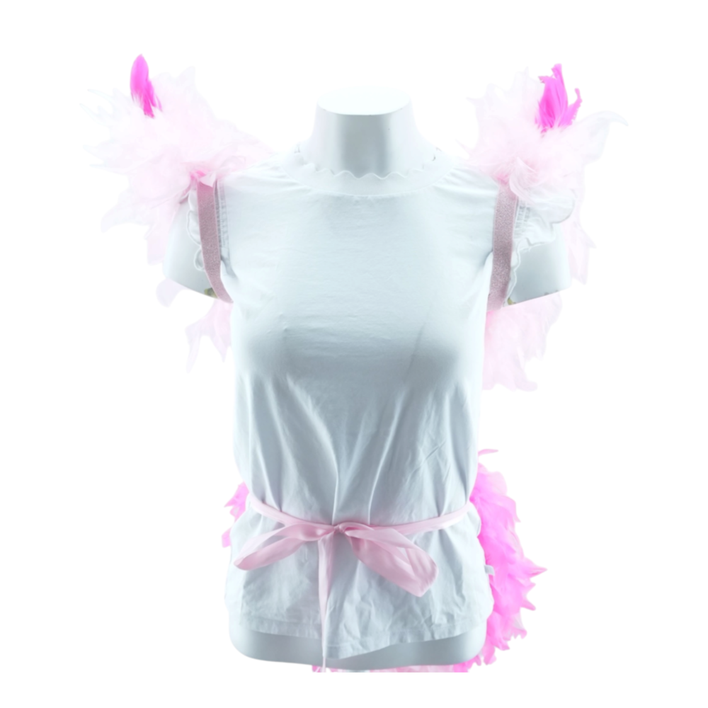 Women's Show Girl Feathers