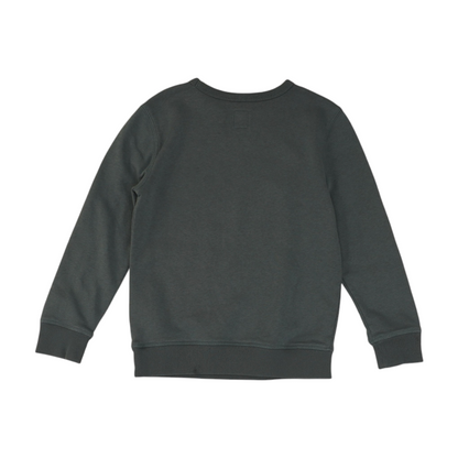 Gray Sweatshirt Pullover