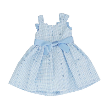 Blue Check Dress