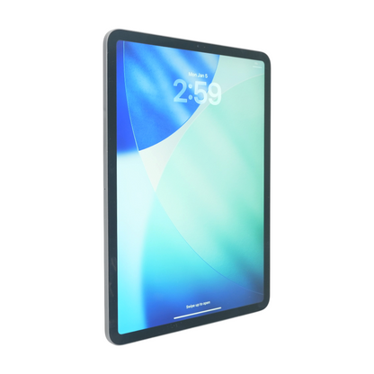 iPad Pro 11.0" Space Gray 1st 256GB WiFi Tablet