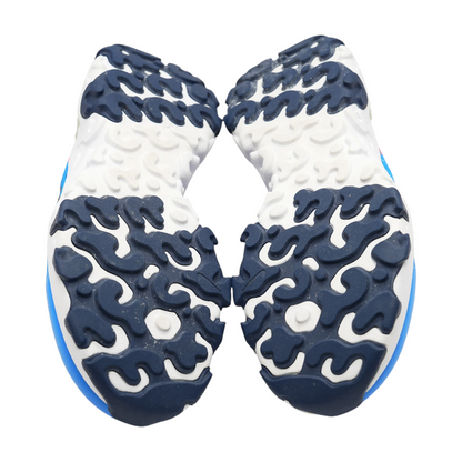 Blue Athletics Shoes