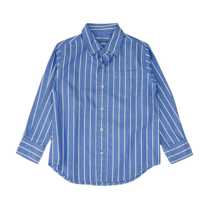 Blue Striped Long Sleeve Button Down