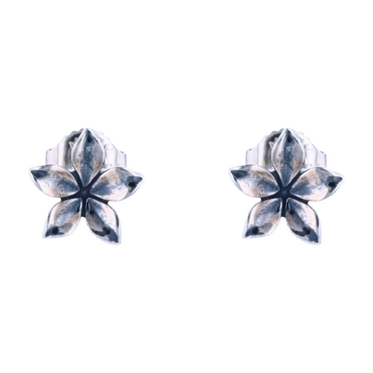 Sterling Silver Stud Earrings