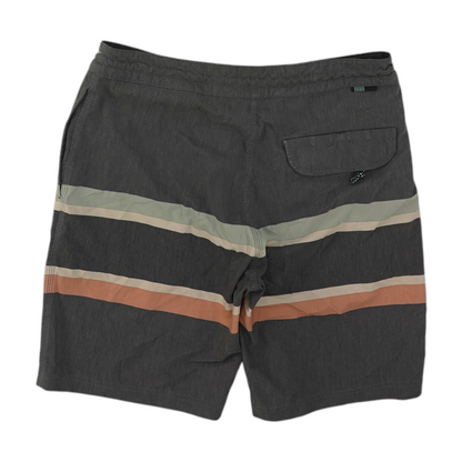 Gray Striped Swim Bottom