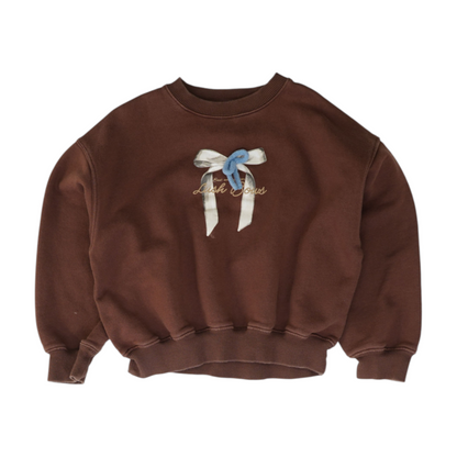 Brown Sweatshirt Pullover