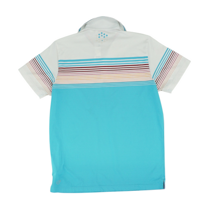 Multi Striped Short Sleeve Polo