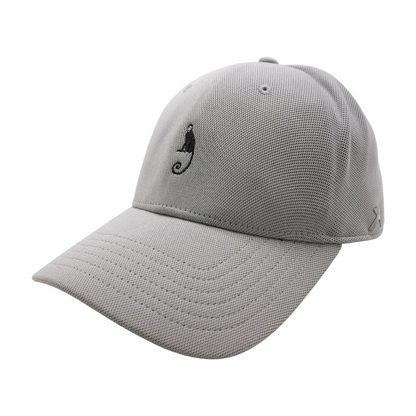 Gray Ballcap Hat