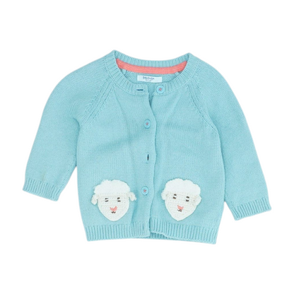 Blue Cardigan Sweater
