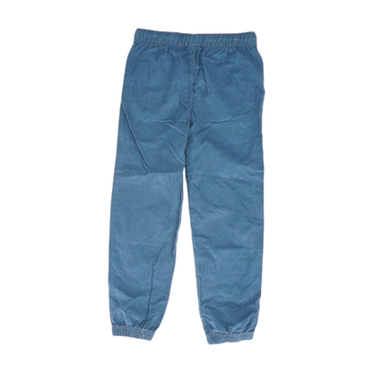 Blue Chino Pants