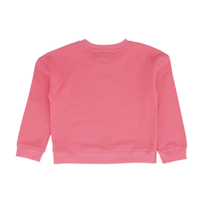 Pink Graphic Sweatshirt Pullover