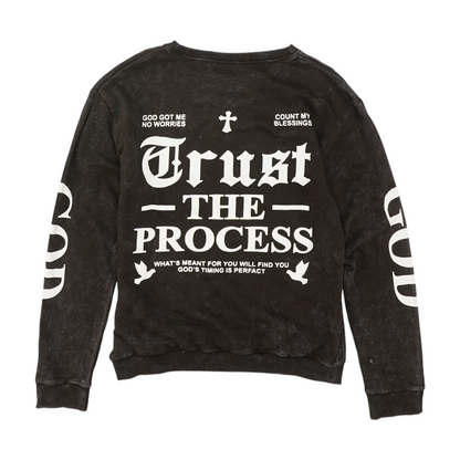 Brown Plus Solid Sweatshirt Pullover