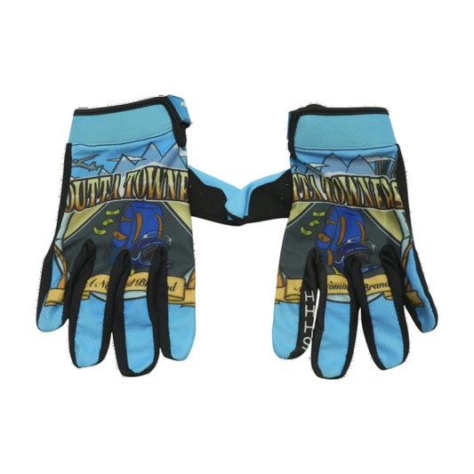Motorcycle Gloves