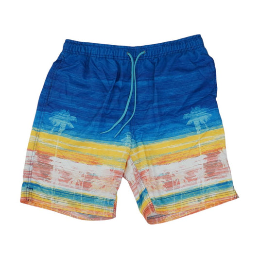 Blue Striped Swim Shorts