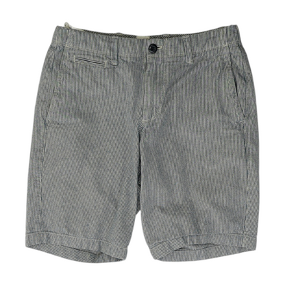 Blue Striped Chino Shorts
