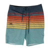 Multi Striped Swim Bottom