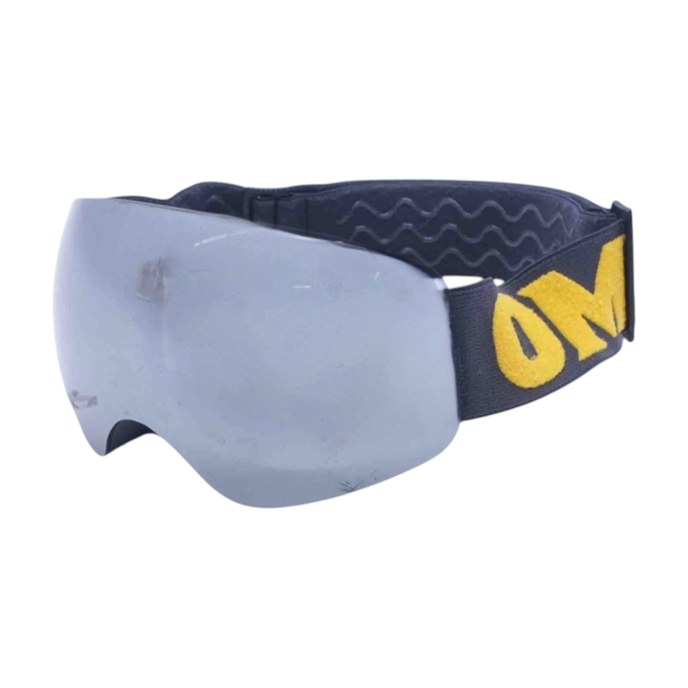 Ski Goggles