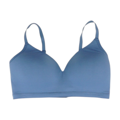 Blue Bra