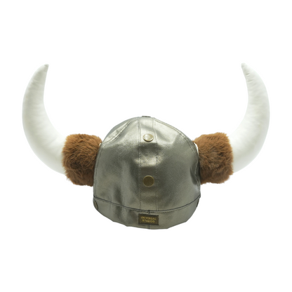 Isle of Berk Viking Helmet