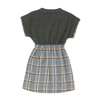 Gray Color Block Dress