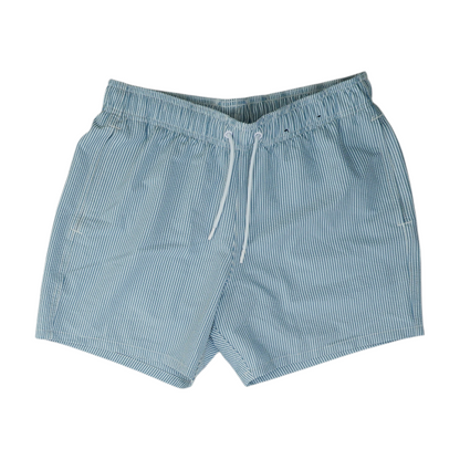 Blue Striped Swim Bottom