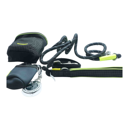 Gray Dog Harness & Leash