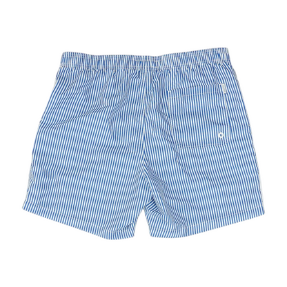 Blue Striped Swim Bottom